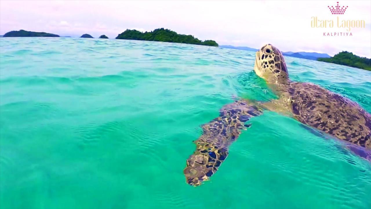 Atara Lagoon Kalpitiya Buitenkant foto